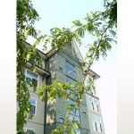 Century Club Photo Gallery
