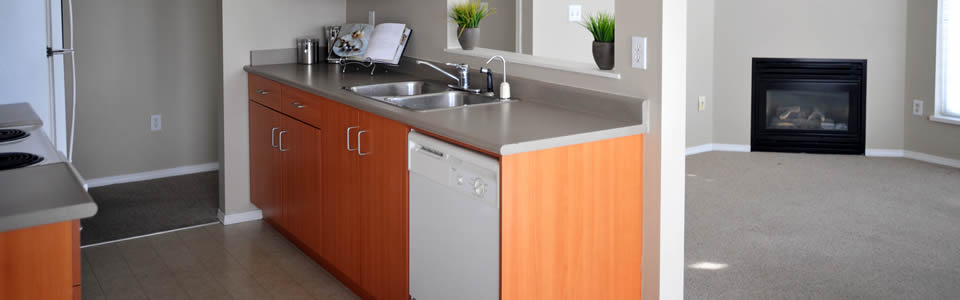 Langley Apartment for rent